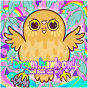 brown hawk owl