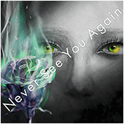 Never See You Again