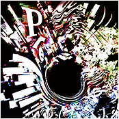 Prey